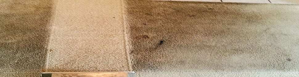 carpet cleaning Worcester