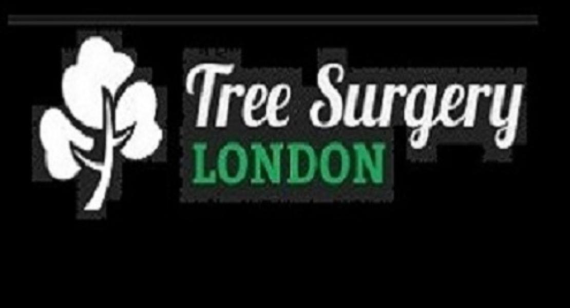 logo of tree surgery london
