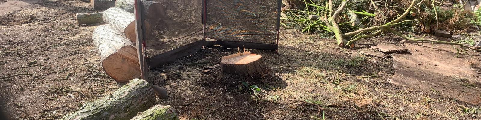 Stump Removal Rugby